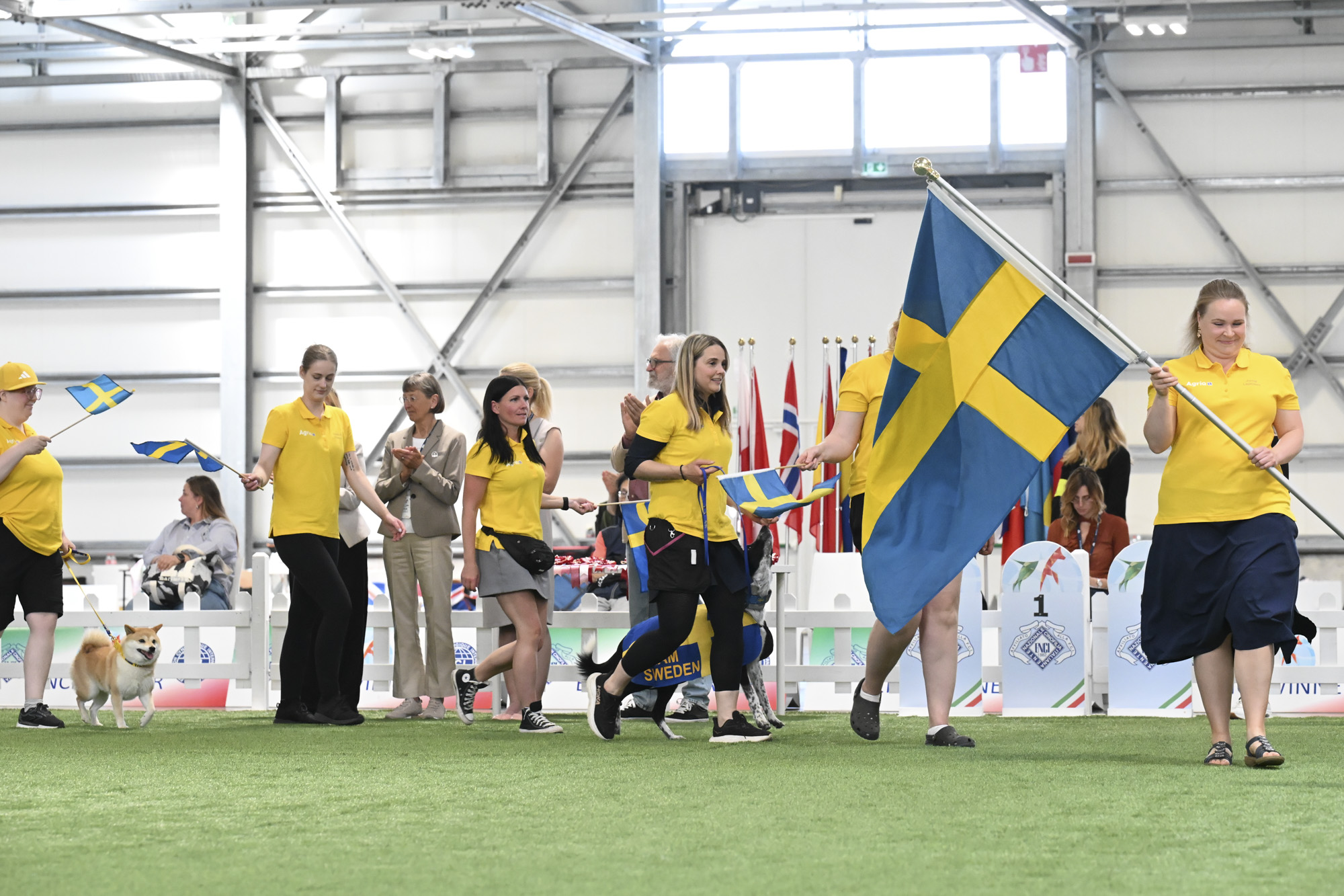 SWEEDEN1_rid_44