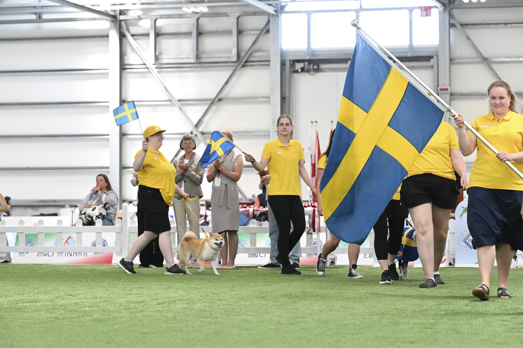 SWEEDEN3_rid_45
